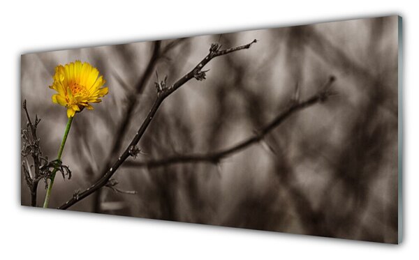 Nástenný panel  Vetva kvet 125x50 cm