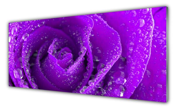 Nástenný panel  Ruže kvet 125x50 cm
