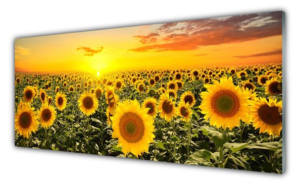Nástenný panel  Slnečnica 125x50 cm