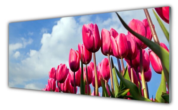 Nástenný panel  Tulipán 125x50 cm