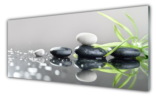 Nástenný panel  Kamene tráva umenie 125x50 cm