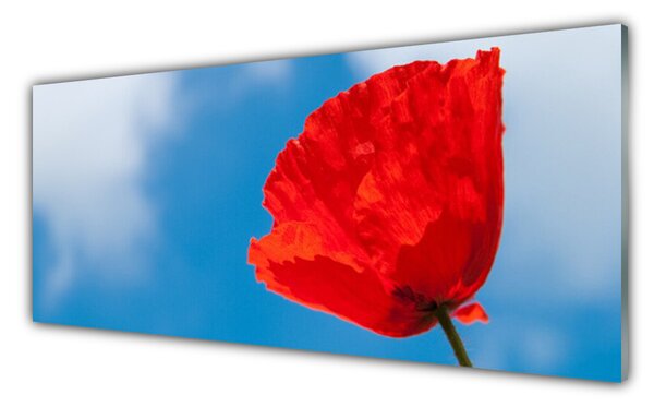 Nástenný panel  Tulipán 125x50 cm