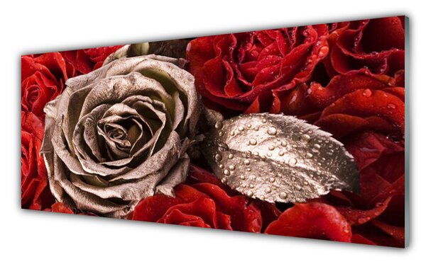 Nástenný panel  Ruže kvety 125x50 cm