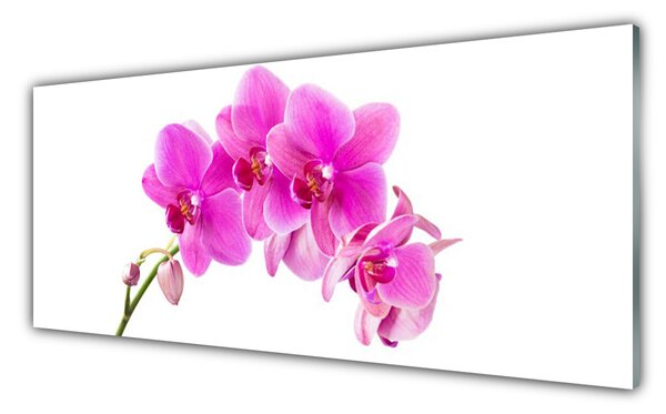 Sklenený obklad Do kuchyne Vstavač kvet orchidea 125x50 cm