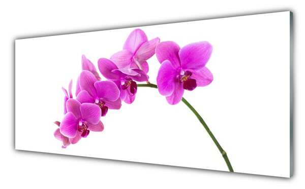 Sklenený obklad Do kuchyne Vstavač kvet orchidea 125x50 cm