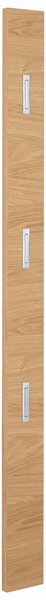 VEŠIAKOVÝ PANEL, farba duba, divoký dub, 14/170/3 cm Novel - Vešiakové steny