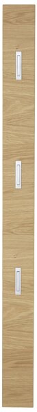 VEŠIAKOVÝ PANEL, farba duba, divoký dub, 14/170/3 cm Novel - Vešiakové steny