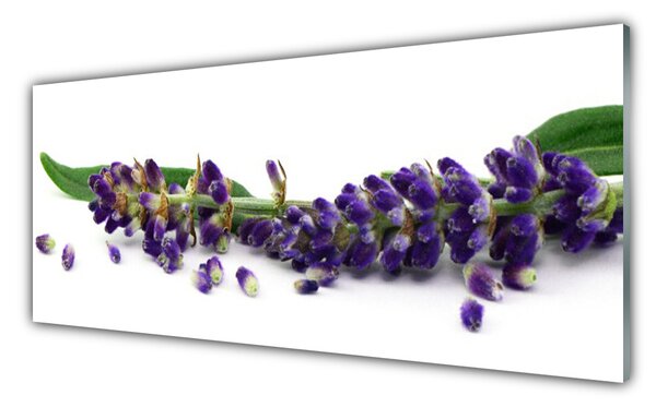 Sklenený obklad Do kuchyne Levanduľa mŕtva príroda 125x50 cm