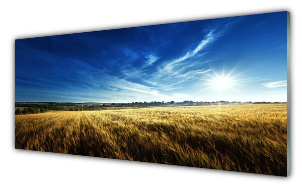 Sklenený obklad Do kuchyne Pole obilie slnko krajina 125x50 cm