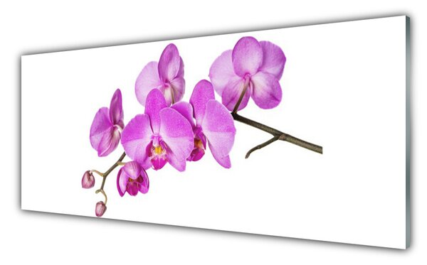 Sklenený obklad Do kuchyne Vstavač orchidea kvety 125x50 cm