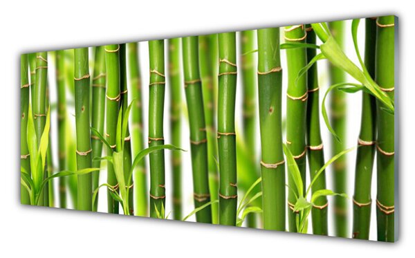 Sklenený obklad Do kuchyne Bambusové výhonky listy bambus 125x50 cm