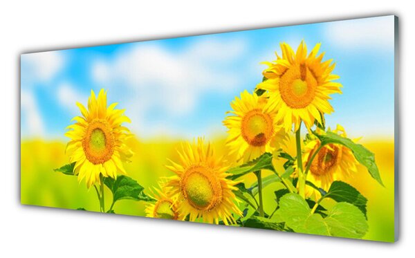 Sklenený obklad Do kuchyne Slnečnica kvety príroda 125x50 cm