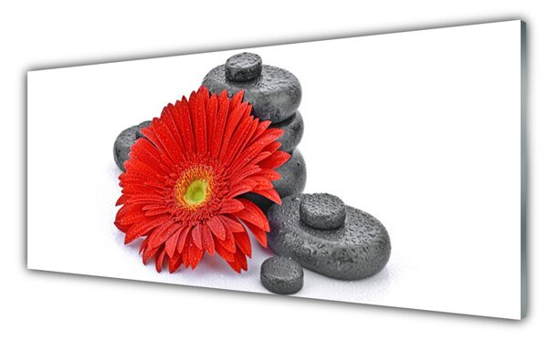 Sklenený obklad Do kuchyne Kvety gerbery kamene zen 125x50 cm
