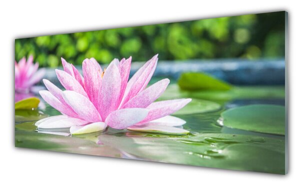 Sklenený obklad Do kuchyne Vodné lilie rybník príroda 125x50 cm