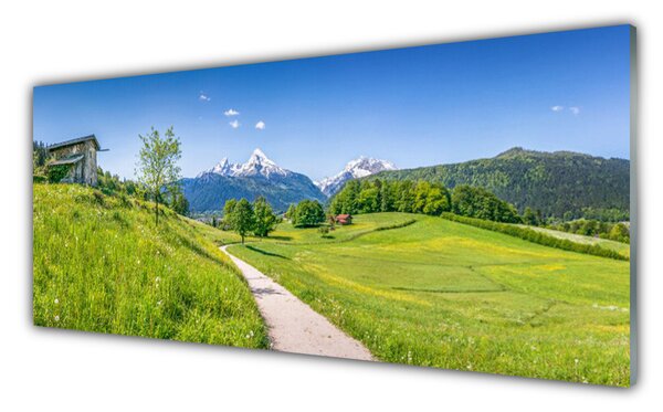Sklenený obklad Do kuchyne Hory lúka chodník údolí 125x50 cm