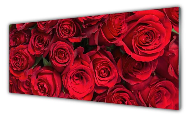 Sklenený obklad Do kuchyne Červené ruže kvety príroda 125x50 cm