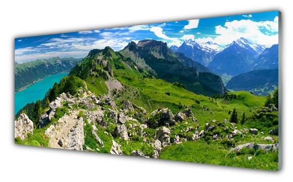 Sklenený obklad Do kuchyne Lúka hory príroda príroda 125x50 cm