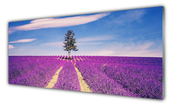 Sklenený obklad Do kuchyne Pole levanduľa lúka strom 125x50 cm
