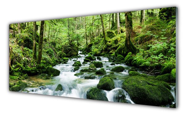 Sklenený obklad Do kuchyne Les potok vodopády rieka 125x50 cm