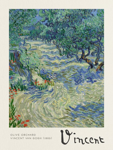 Umelecká tlač Olive Orchard - Vincent van Gogh, (30 x 40 cm)