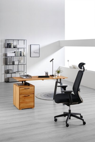 PÍSACÍ STÔL, farba duba, 140/65/75 cm Linea Natura - Kancelárske stoly