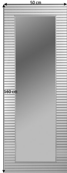 NÁSTENNÉ ZRKADLO 50/160/0,3 cm Xora - Zrkadlá na stenu