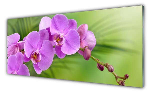 Sklenený obklad Do kuchyne Vstavač orchidea kvety 125x50 cm