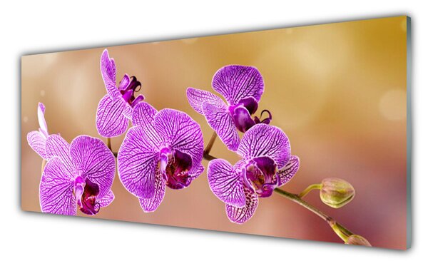 Sklenený obklad Do kuchyne Orchidea výhonky kvety príroda 125x50 cm