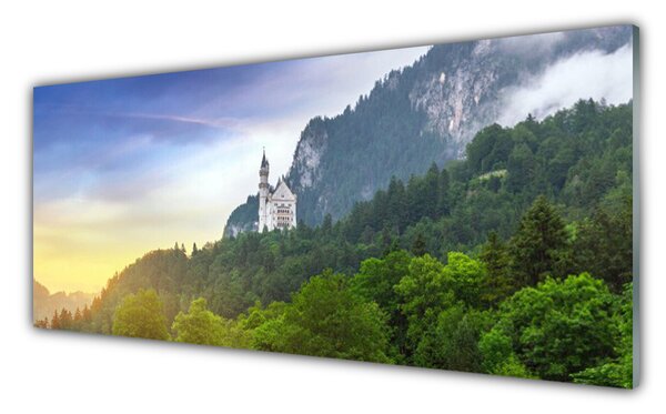 Sklenený obklad Do kuchyne Zámok v horách les príroda 125x50 cm