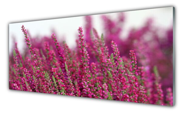 Sklenený obklad Do kuchyne Kvety lúka príroda 125x50 cm