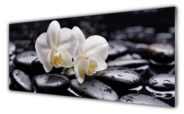 Sklenený obklad Do kuchyne Kamene zen biela orchidea 125x50 cm