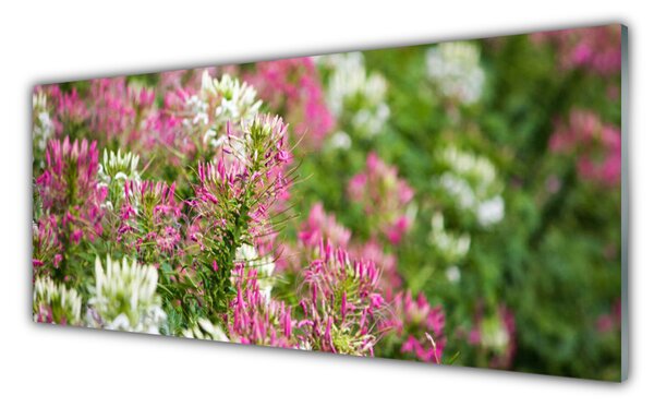 Sklenený obklad Do kuchyne Poľné kvety lúka príroda 125x50 cm