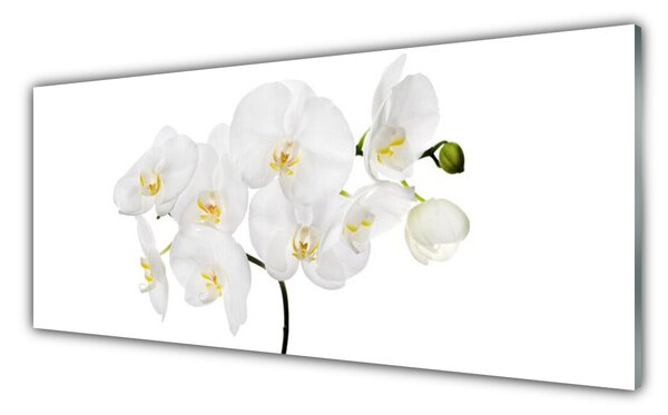 Sklenený obklad Do kuchyne Biela orchidea kvety 125x50 cm