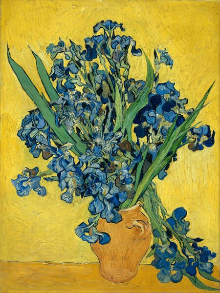Umelecká tlač Irises (Vintage Flowers) - Vincent van Gogh, (30 x 40 cm)