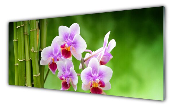 Sklenený obklad Do kuchyne Bambus orchidea kvety zen 125x50 cm