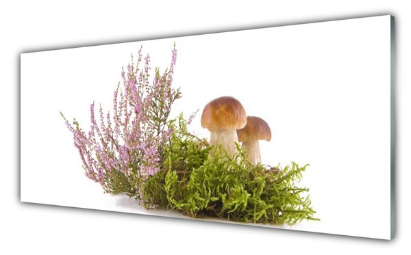 Sklenený obklad Do kuchyne Huby rastlina príroda 125x50 cm