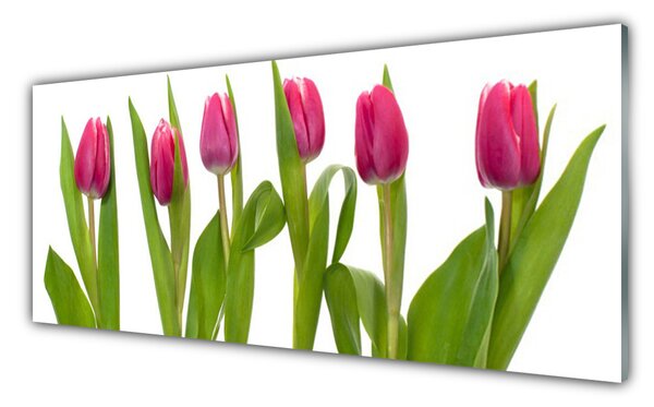 Sklenený obklad Do kuchyne Tulipány kvety rastlina 125x50 cm