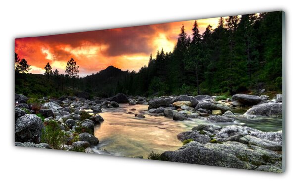Sklenený obklad Do kuchyne Jazero kamene les príroda 125x50 cm