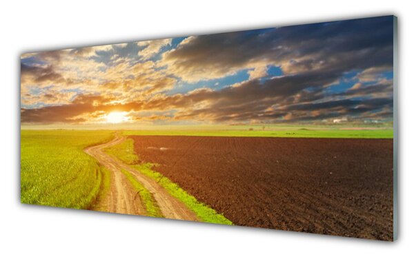 Sklenený obklad Do kuchyne Pole nebo slnko príroda 125x50 cm
