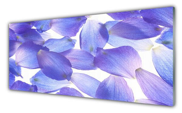 Sklenený obklad Do kuchyne Plátky rastlina príroda 125x50 cm