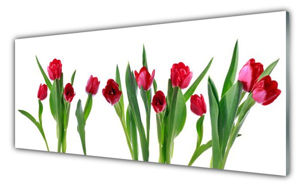 Sklenený obklad Do kuchyne Tulipány kvety rastlina 125x50 cm
