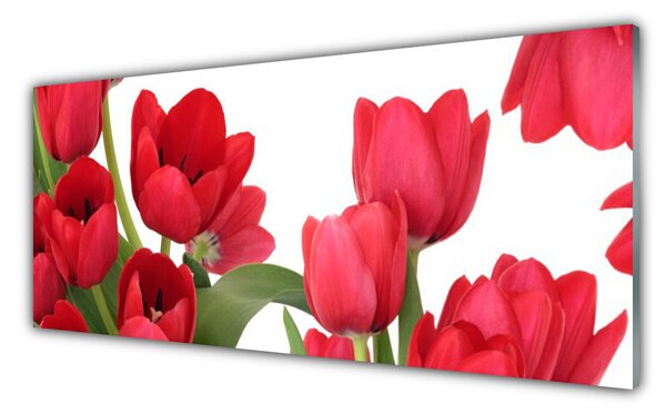 Sklenený obklad Do kuchyne Tulipány kvety rastlina 125x50 cm