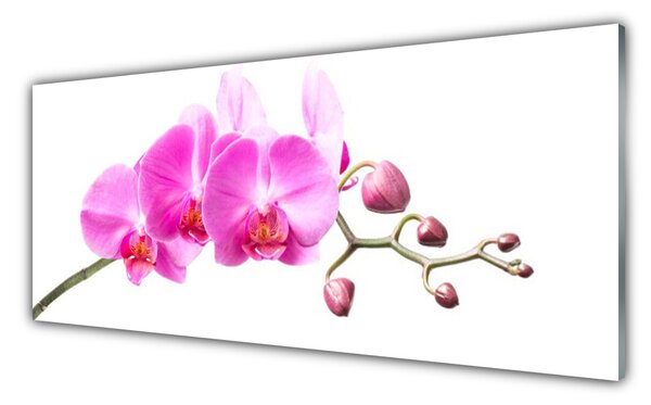 Sklenený obklad Do kuchyne Kvety rastlina príroda 125x50 cm