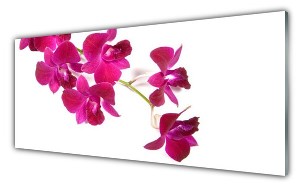 Sklenený obklad Do kuchyne Kvety rastlina príroda 125x50 cm