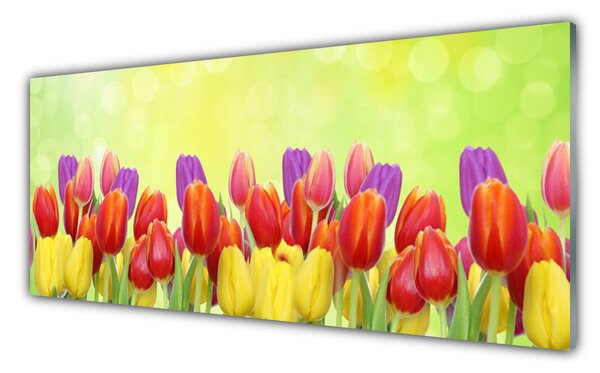 Sklenený obklad Do kuchyne Tulipány kvety rastlina 125x50 cm