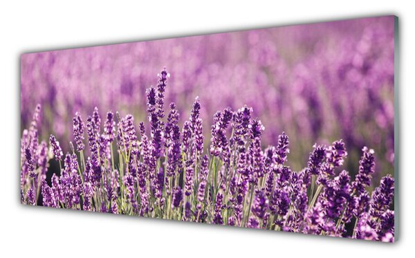 Sklenený obklad Do kuchyne Kvety rastlina príroda 125x50 cm