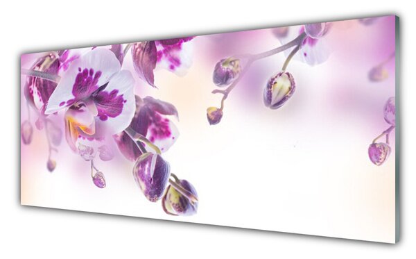 Sklenený obklad Do kuchyne Kvety rastlina príroda 125x50 cm
