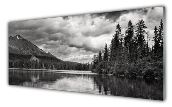 Sklenený obklad Do kuchyne Hora les jazero príroda 125x50 cm