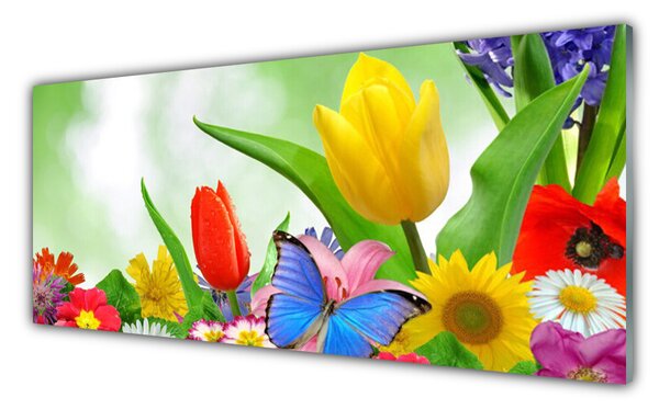 Sklenený obklad Do kuchyne Motýľ kvety príroda 125x50 cm