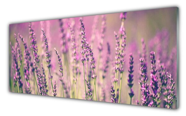 Sklenený obklad Do kuchyne Kvety rastlina príroda 125x50 cm